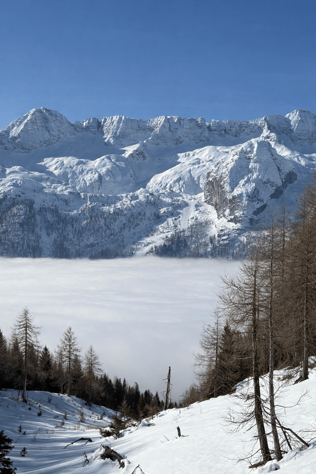 Spurenlage || 27.–29.&nbsp;Februar